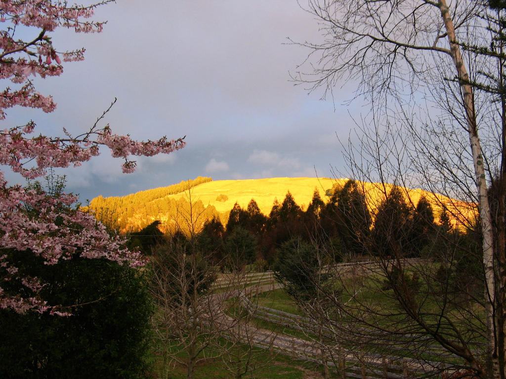 Whakaipo Lodge Taupo Bagian luar foto