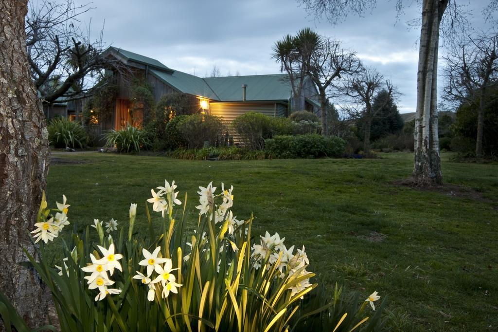 Whakaipo Lodge Taupo Bagian luar foto